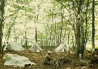 Наш лагерь в лесу возле озера Марал-Гель