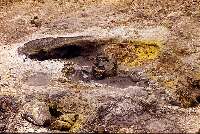 Отложения серы и квасцов возле грязевого источника